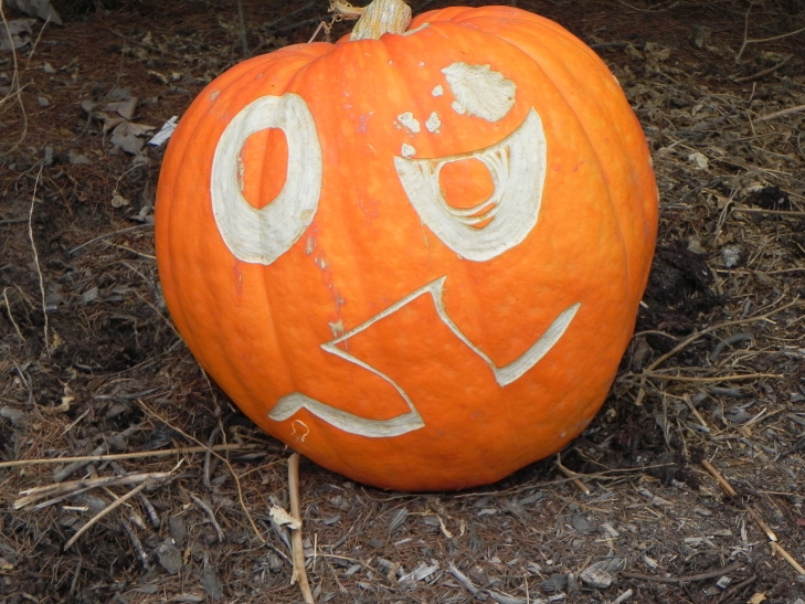 Question, Nipomo Pumpkin Patch best carving idea
